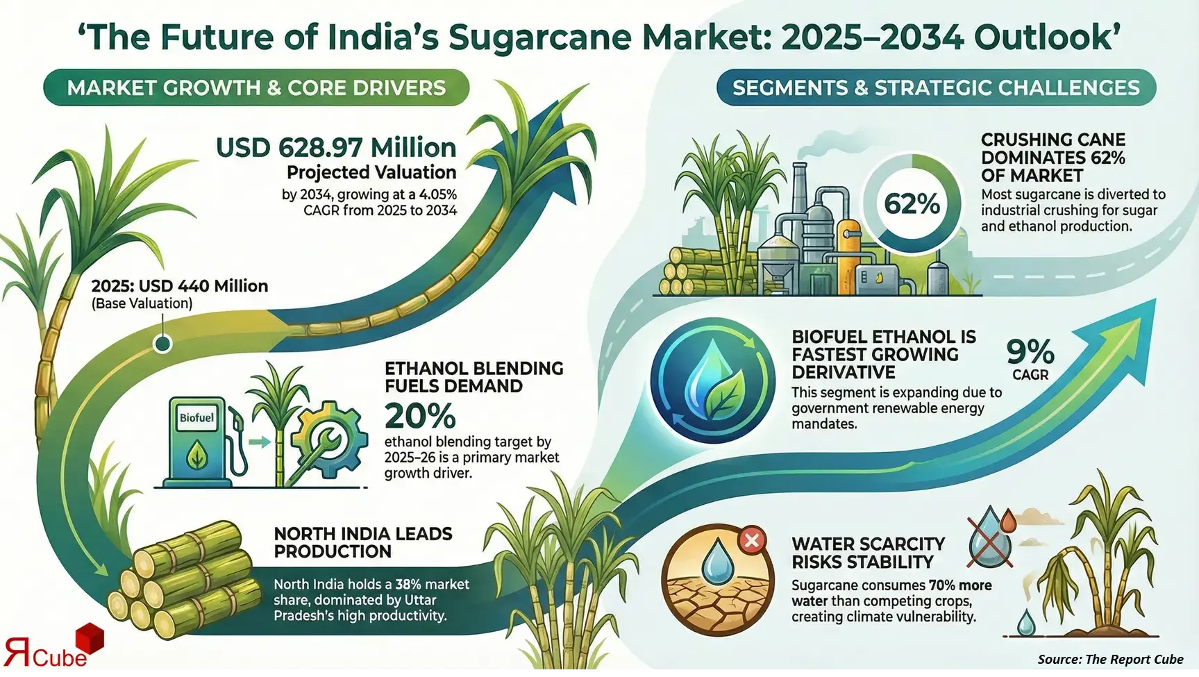 India Sugarcane Market 2026-2034 infographic presenting market share and future forecast